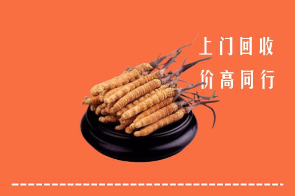 高价求购：潍坊回收散虫草