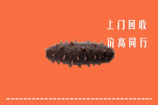 高价求购：潍坊回收海参