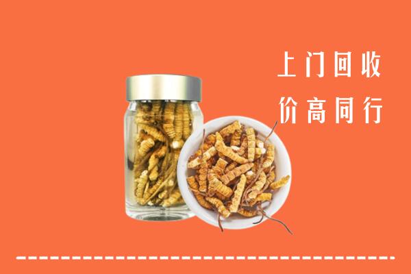 潍坊回收冬虫夏草